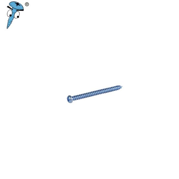 round head self tapping screw manufacturer